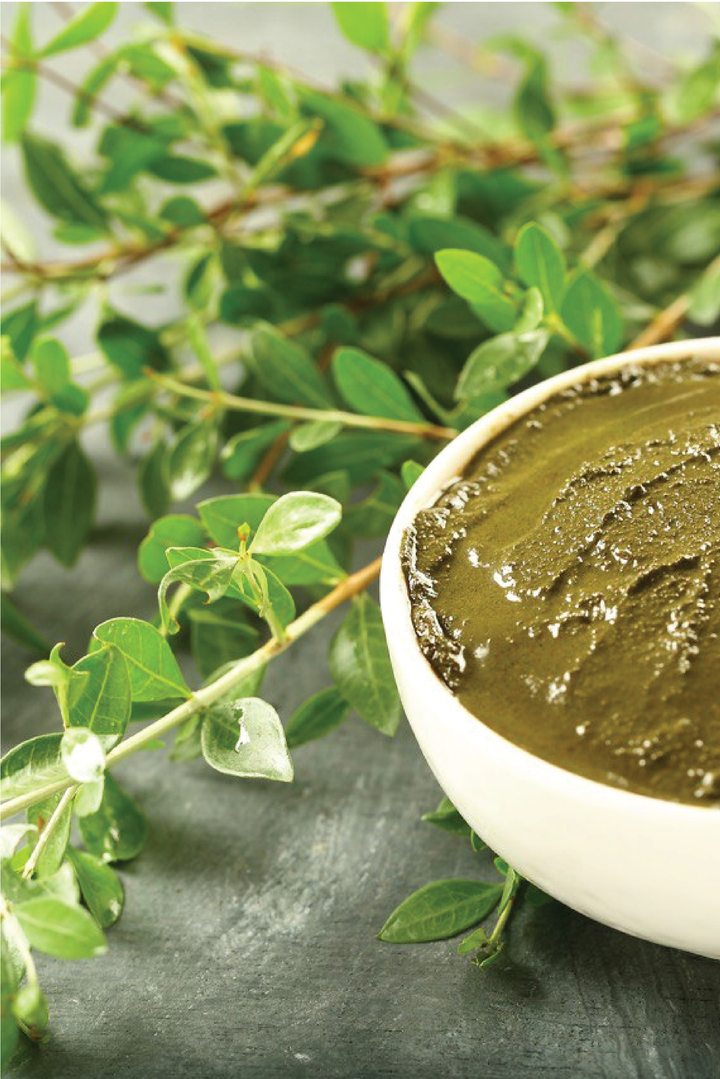 HENNA TREE SEEDS <br> بذور شجرة الحناء