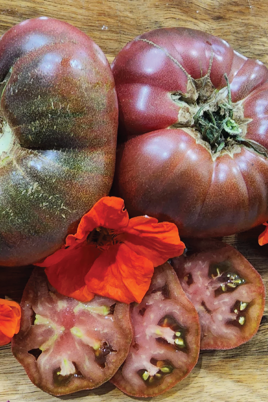 ORGANIC TOMATO PURPLE REIGN SEEDLING <br> شتلات الطماطم بيربل ريجن العضوية