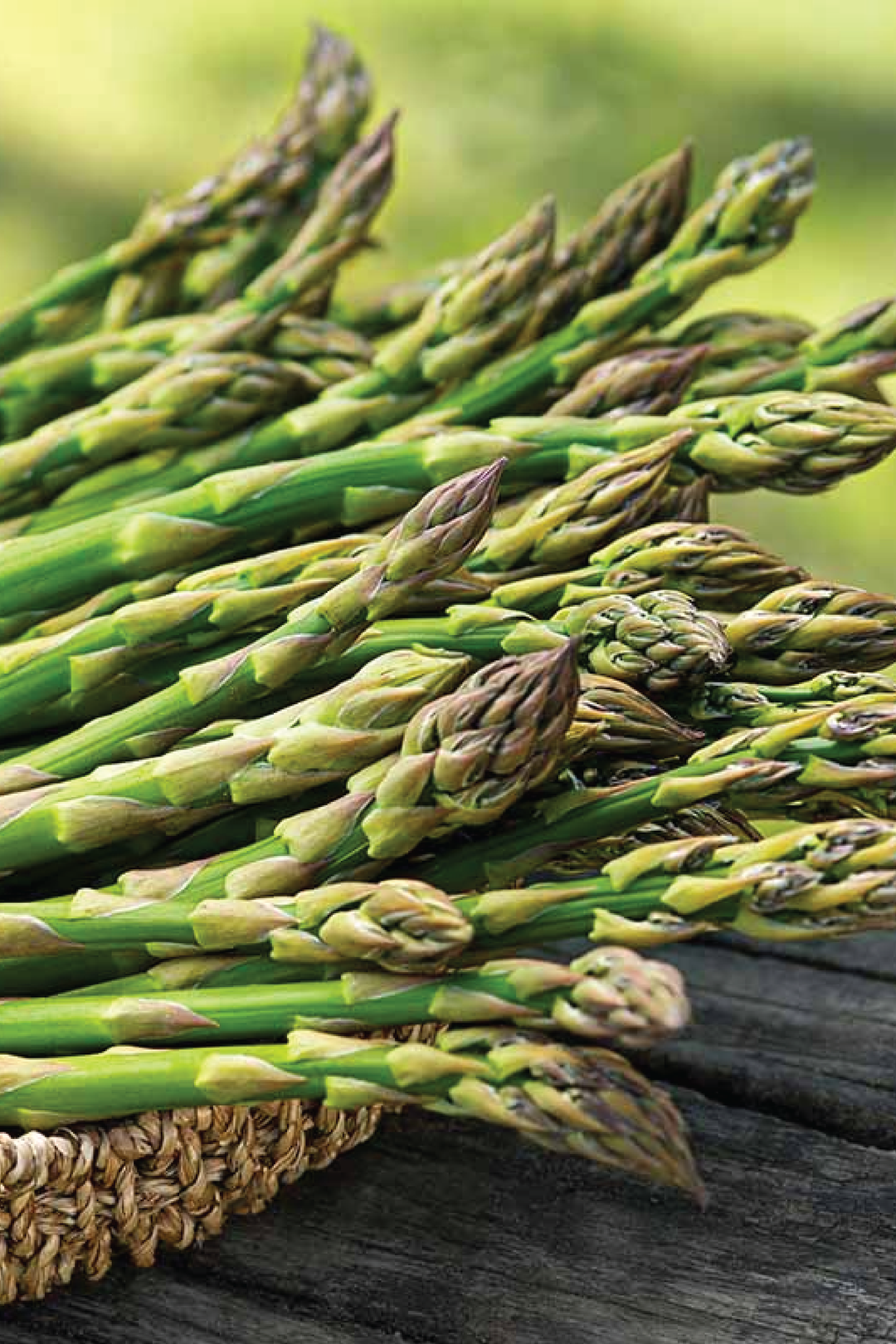 ASPARAGUS SEEDS <br> بذور الهليون