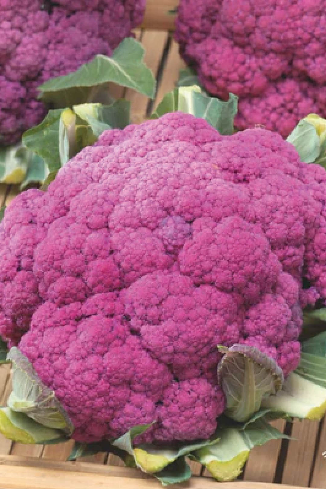 PURPLE CAULIFLOWER SEEDS <br> بذور القرنبيط البنفسجي