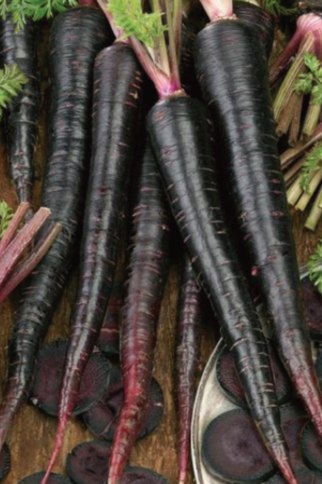 BLACK NEBULA CARROT SEEDS <br> بذور جزر السديم الأسود