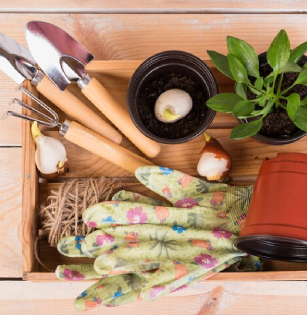Garden Accessories & Tools