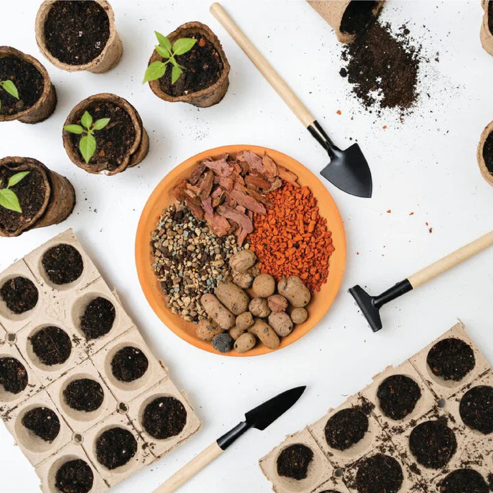 SEEDS