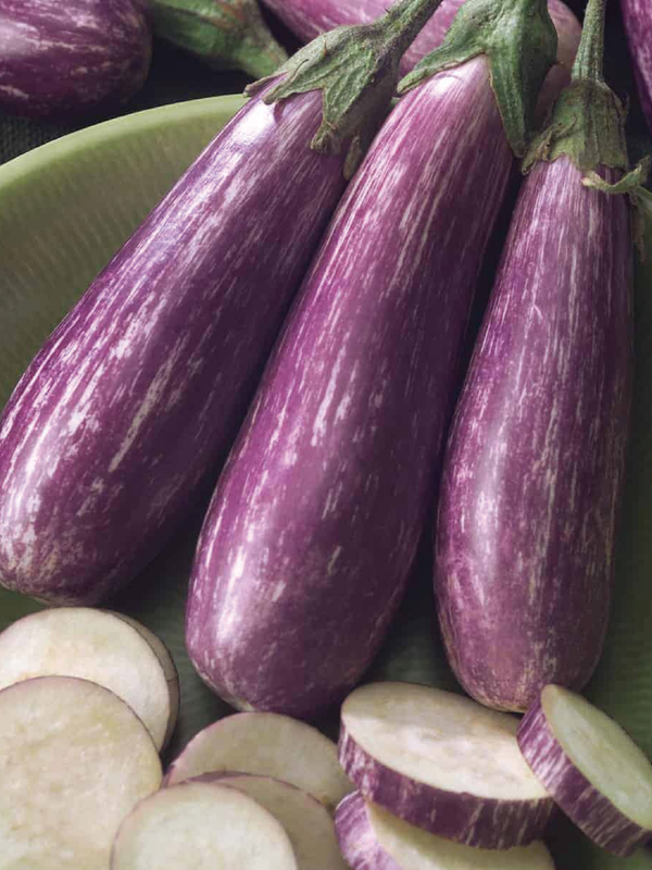 ORGANIC FAIRY TALE EGGPLANT SEEDLING  شتلة باذنجان فيري تيل عضوية