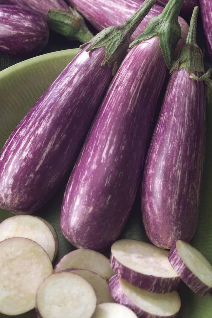 ORGANIC FAIRY TALE EGGPLANT SEEDLING