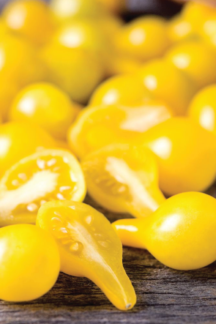 ORGANIC YELLOW PEAR TOMATO SEEDLING <br> شتلات الطماطم يلو بير العضوية