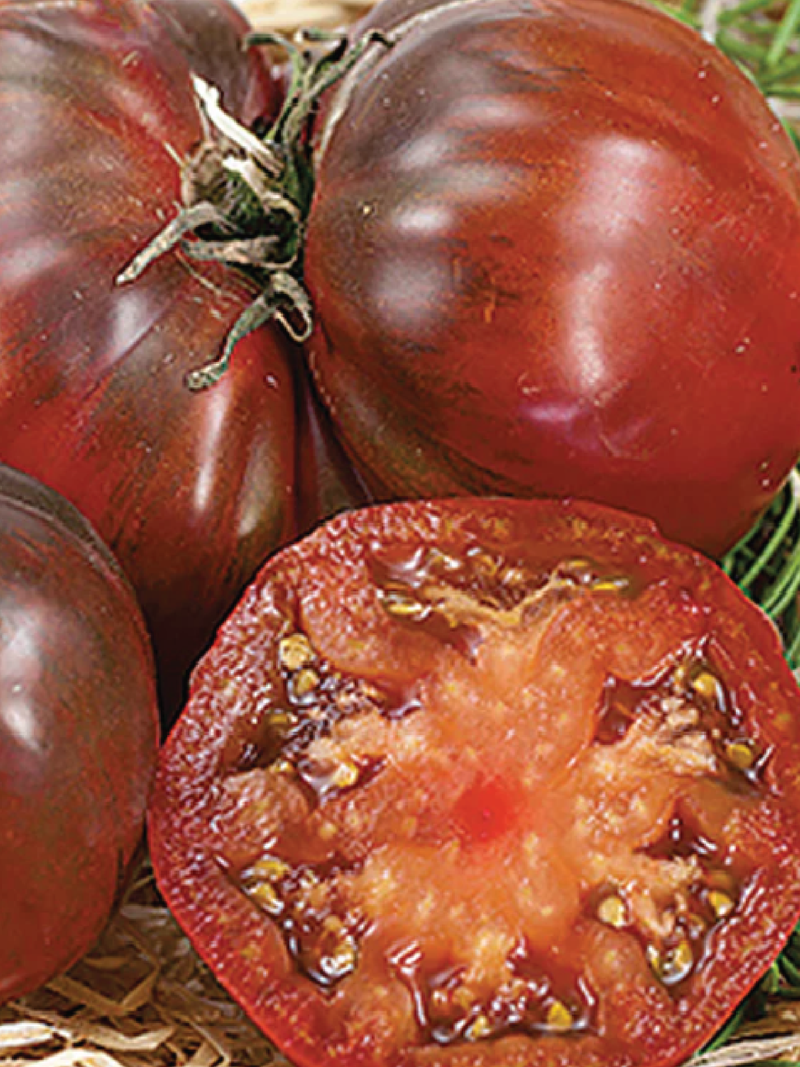BLACK KRIM TOMATO SEEDS <br> بذور طماطم بلاك كريم
