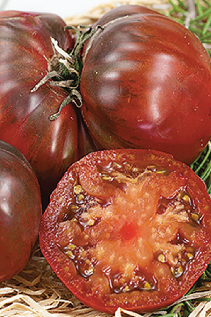 BLACK KRIM TOMATO SEEDS <br> بذور طماطم بلاك كريم