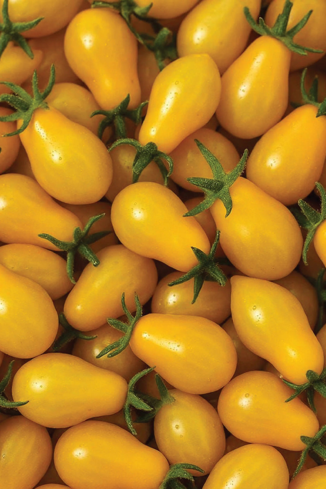 YELLOW PEAR TOMATO SEEDS