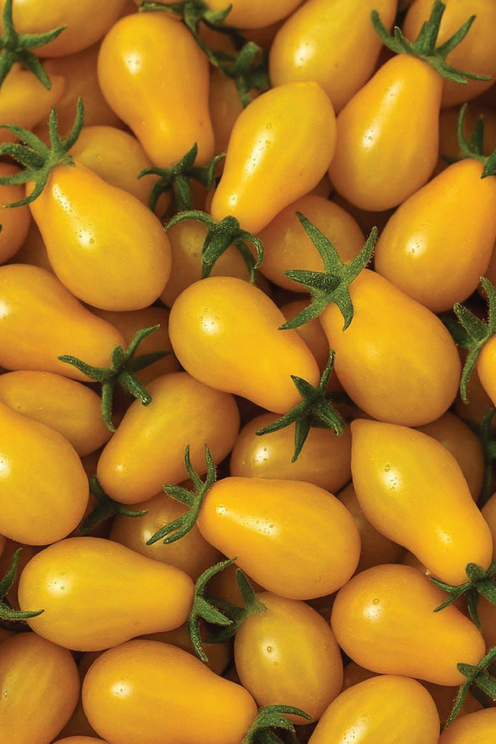 YELLOW PEAR TOMATO SEEDS