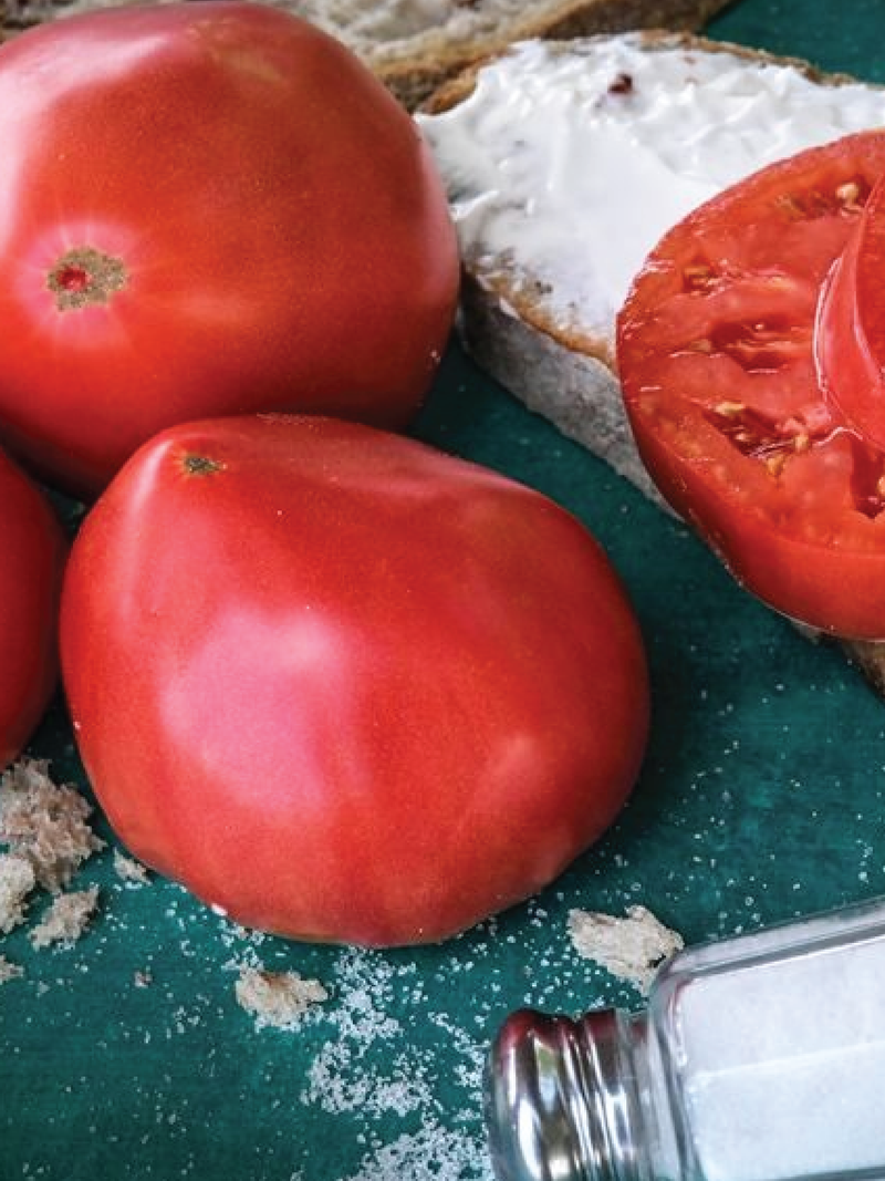 ORGANIC BREAD & SALT TOMATO SEEDLING <br> شتلات الطماطم بريد آند سولت العضوية