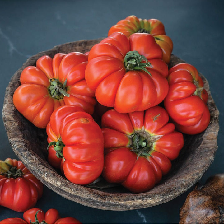 ORGANIC TOMATO BURMESE SOUR SEEDLING <br>شتلات طماطم بورميه ساور العضوية