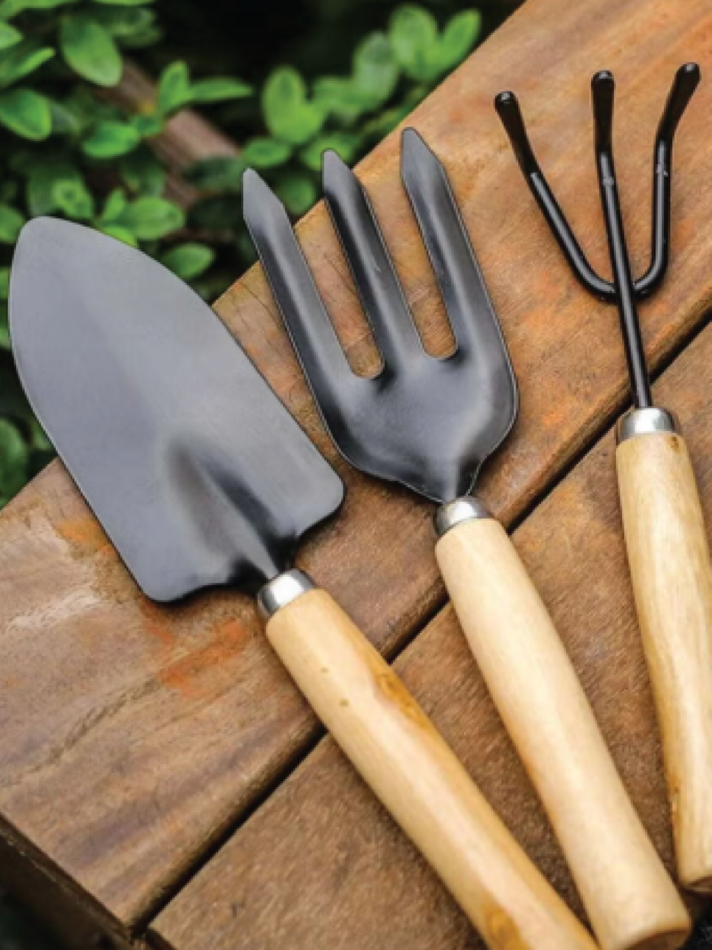 GARDENING TOOLS SET OF 3 <br> مجموعة أدوات الحديقة - ٣ قطع