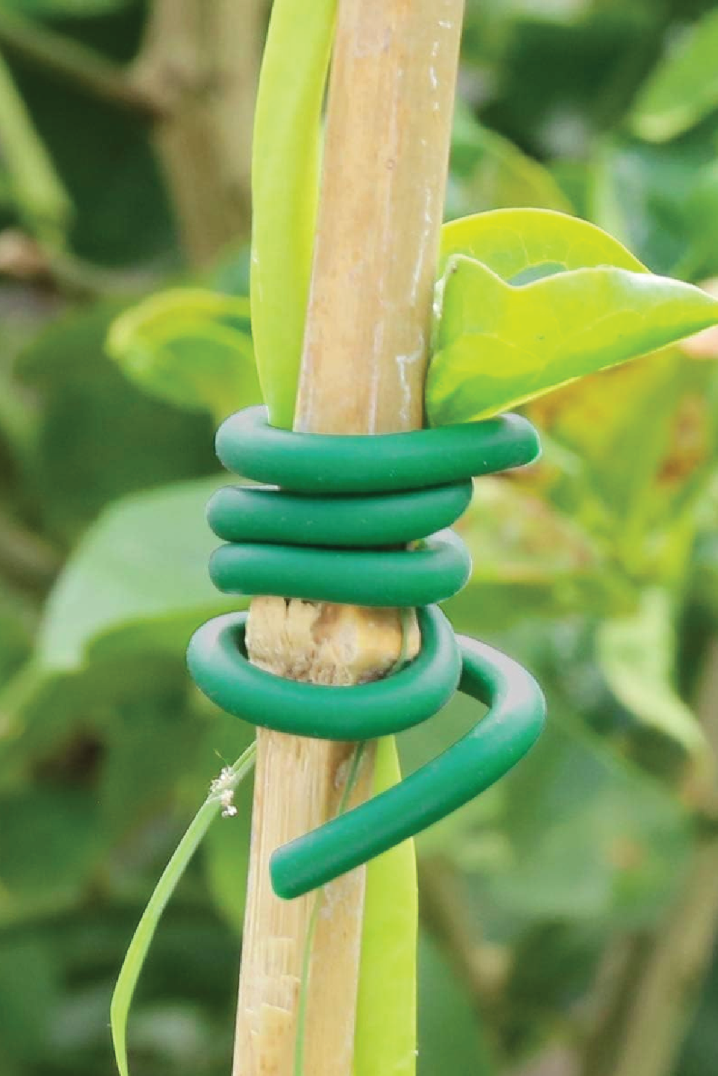 plant ties for indoor plants Rubber Ties For Plants - Soft Plant Wire