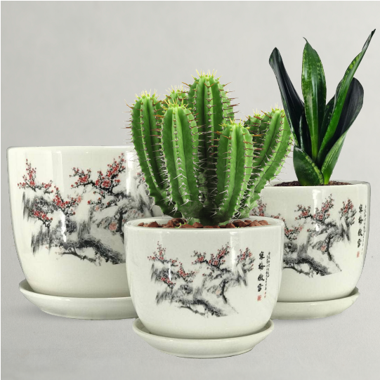 Plant Pots - Outdoor Planters 