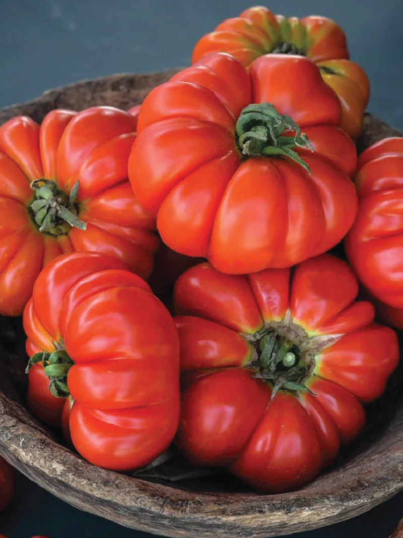 TOMATO BURMESE SOUR SEEDS <br> بذور طماطم بورميه ساور
