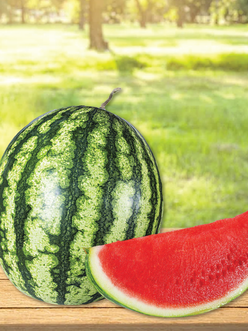 APPLE WATERMELON SEEDS <br>بذور البطيخ التفاحي