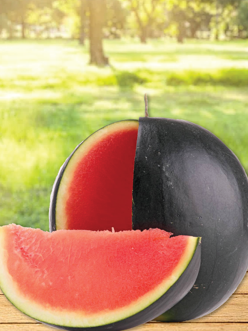 BLACK WATERMELON SEEDS <br> بذور البطيخ الأسود