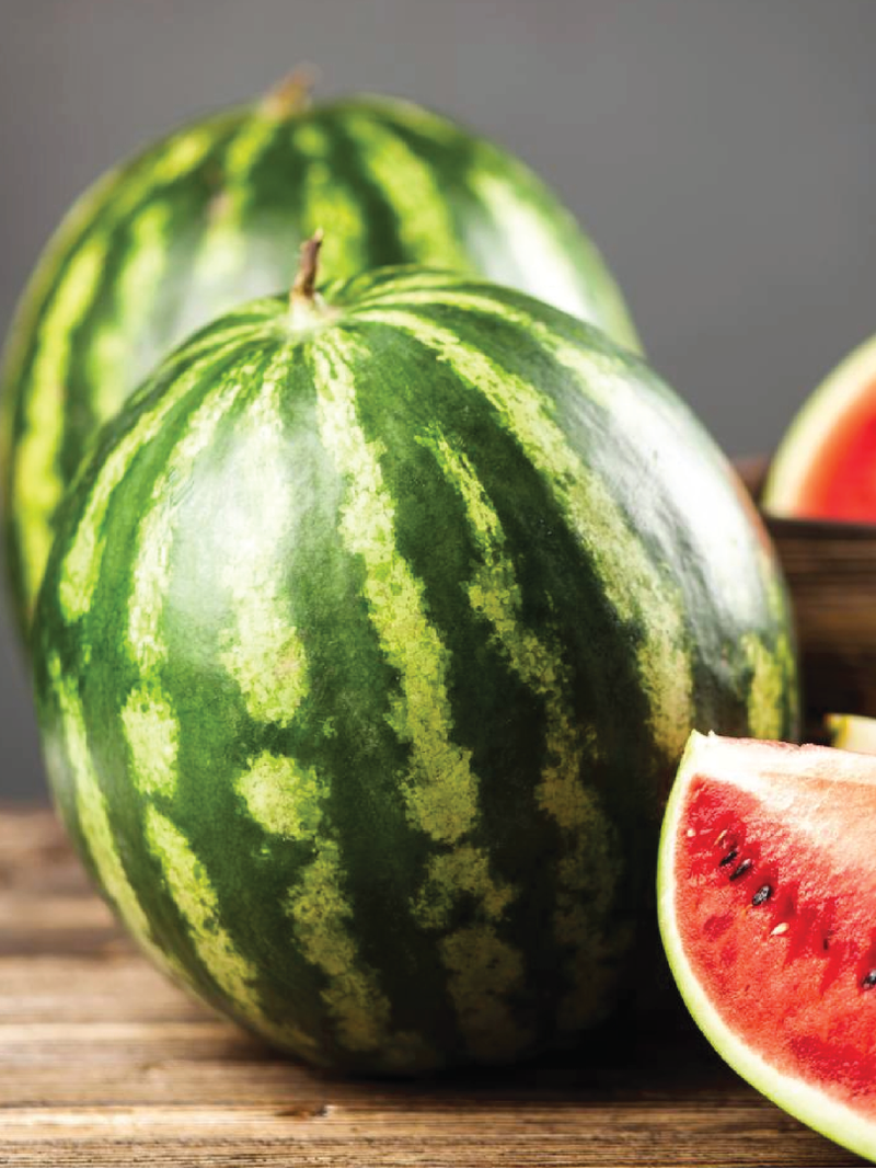 SMALL WATERMELON SEEDS <br> بذور البطيخ الصغير