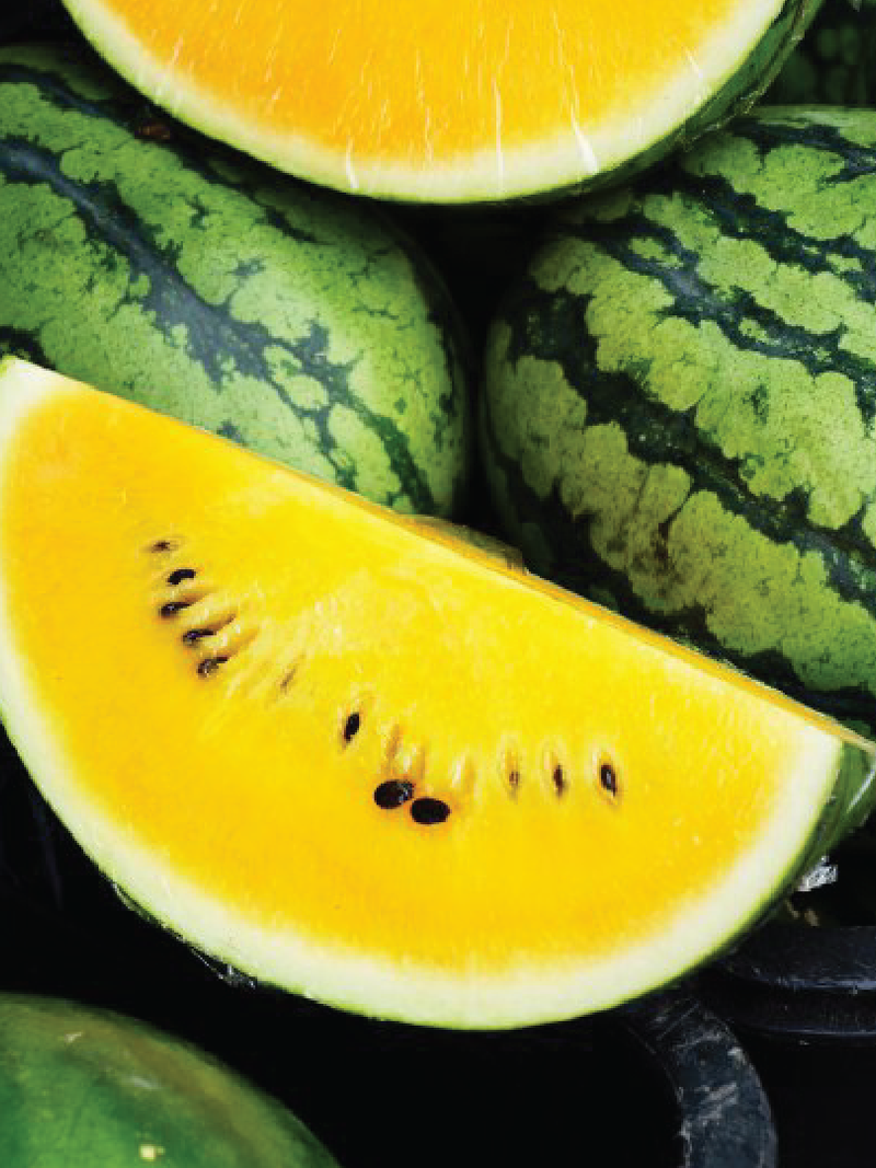 YELLOW WATERMELON SEEDS <br> بذور البطيخ الأصفر
