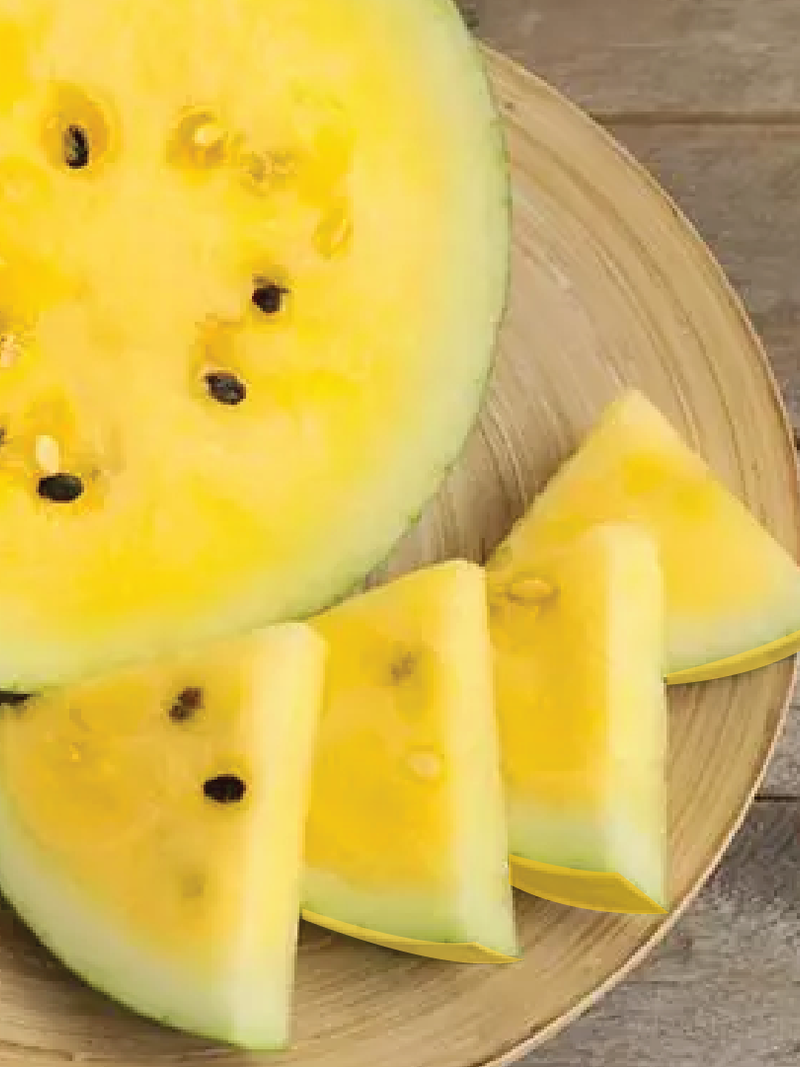 YELLOW SKIN WATERMELON SEEDS <br> بذور البطيخ ذو القشرة الصفراء