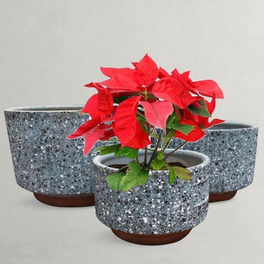 Creamy Blue Round Ceramic Plant Pot 