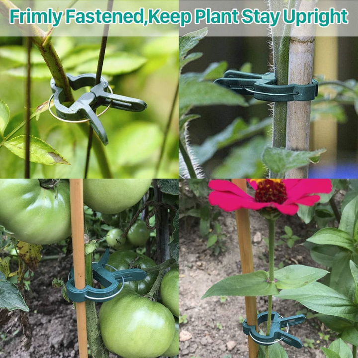 PLASTIC CLIPS FOR PLANTS - SET OF 20
