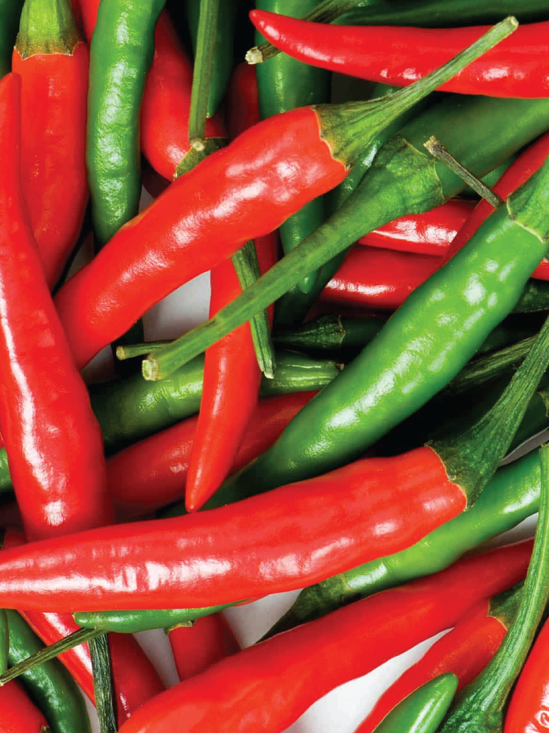 ORGANIC THAI HOT PEPPER SEEDLING <br> شتلات الفلفل التايلندي الحار العضوية