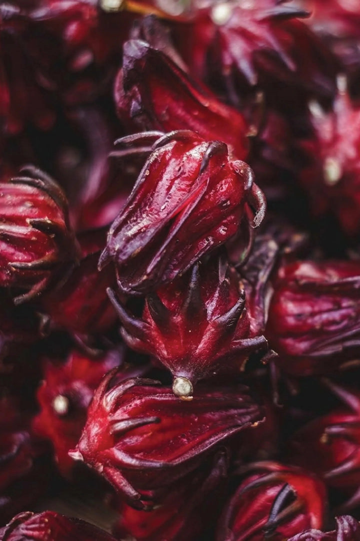 MAROON HIBISCUS SEEDS