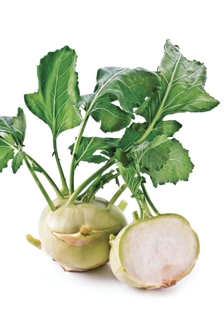 ORGANIC KOHLRABI SEEDLING <br> شتلات اللفت الألماني