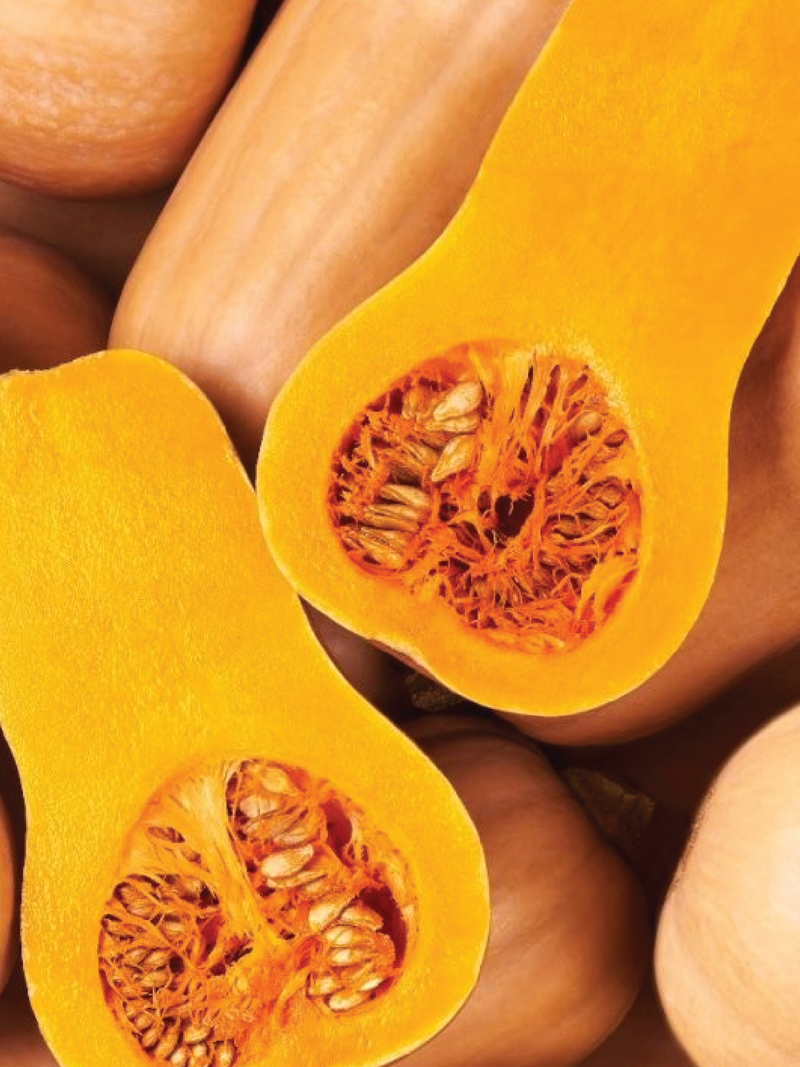 BUTTERNUT SQUASH SEEDS <br> بذور القرع الجوزي
