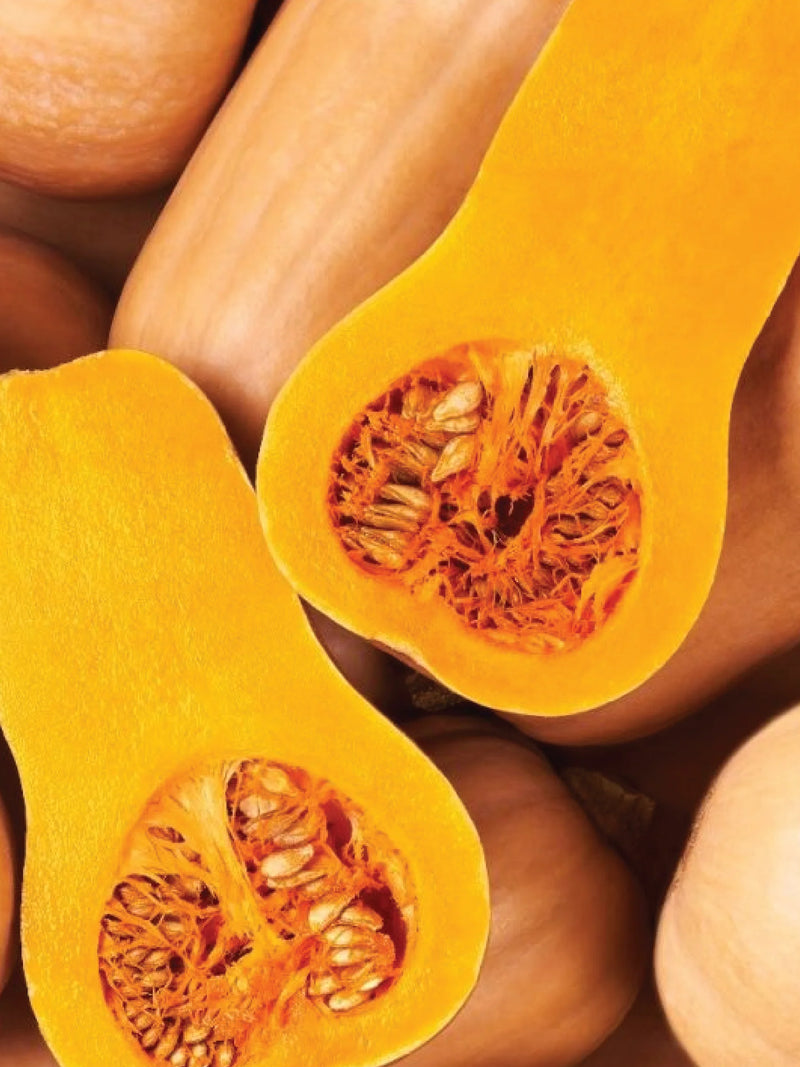 BUTTERNUT SQUASH SEEDS