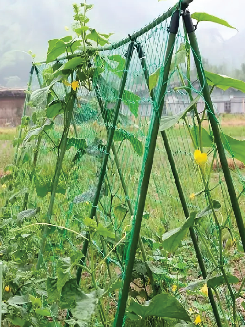 GARDEN NETTING FOR CLIMBING PLANTS <br> شبك للنباتات المتسلقة