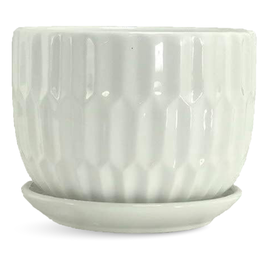 NEW LOOK PLANTERS