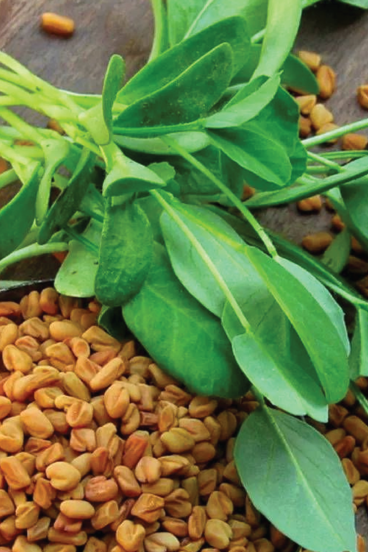 FENUGREEK SEEDS