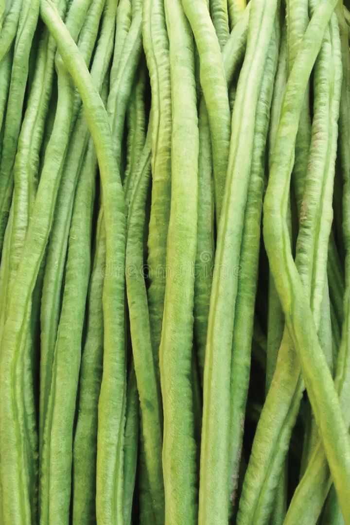 ORGANIC LONG ASPARAGUS BEANS SEEDLING