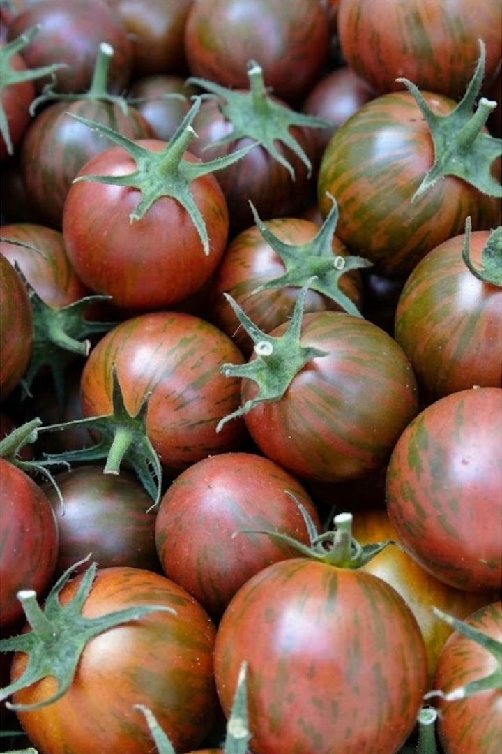 TOMATO PURPLE BUMBLE BEE SEEDS <br> بذور طماطم بمبل بي الأرجواني