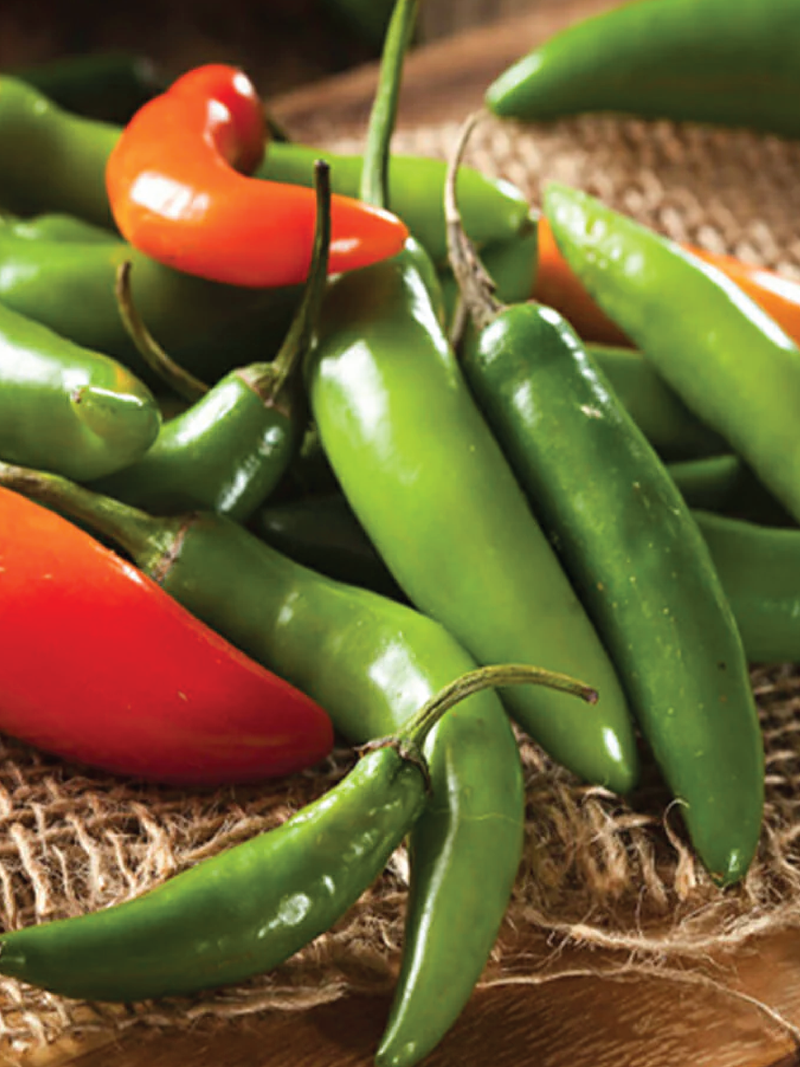 ORGANIC SERRANO TAMPIQUENO PEPPER SEEDLING <br>شتلات فلفل سيرانو تامبيكيونو العضوية