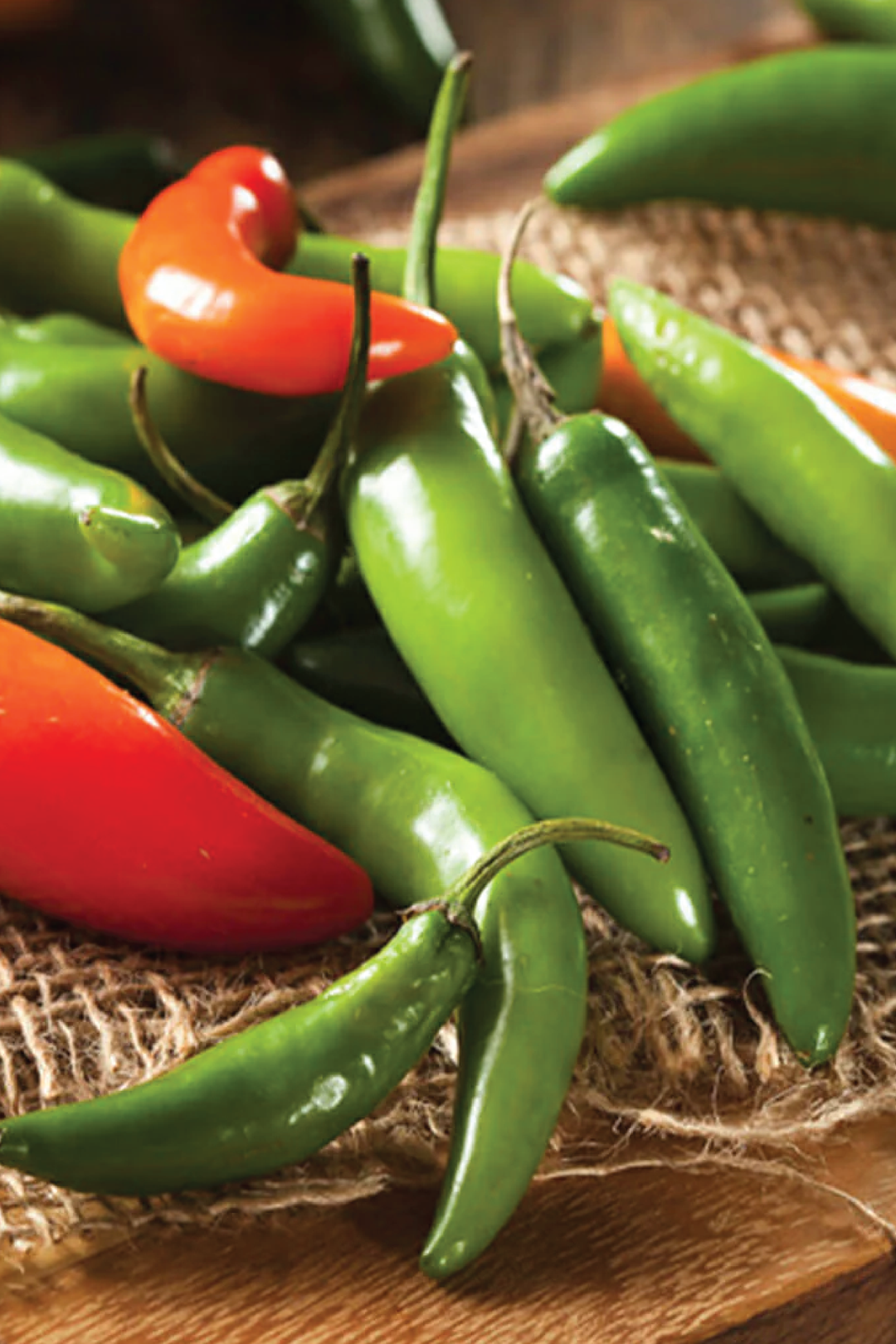 ORGANIC SERRANO TAMPIQUENO PEPPER SEEDLING <br>شتلات فلفل سيرانو تامبيكيونو العضوية