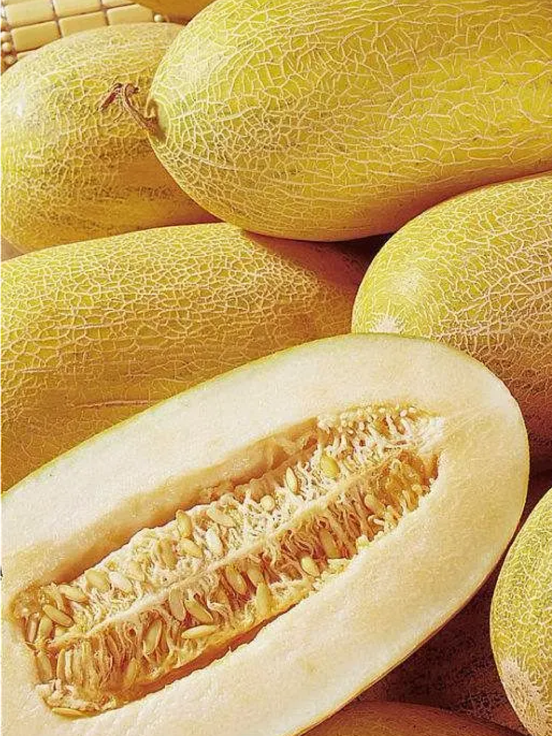 GULABI MELON SEEDS