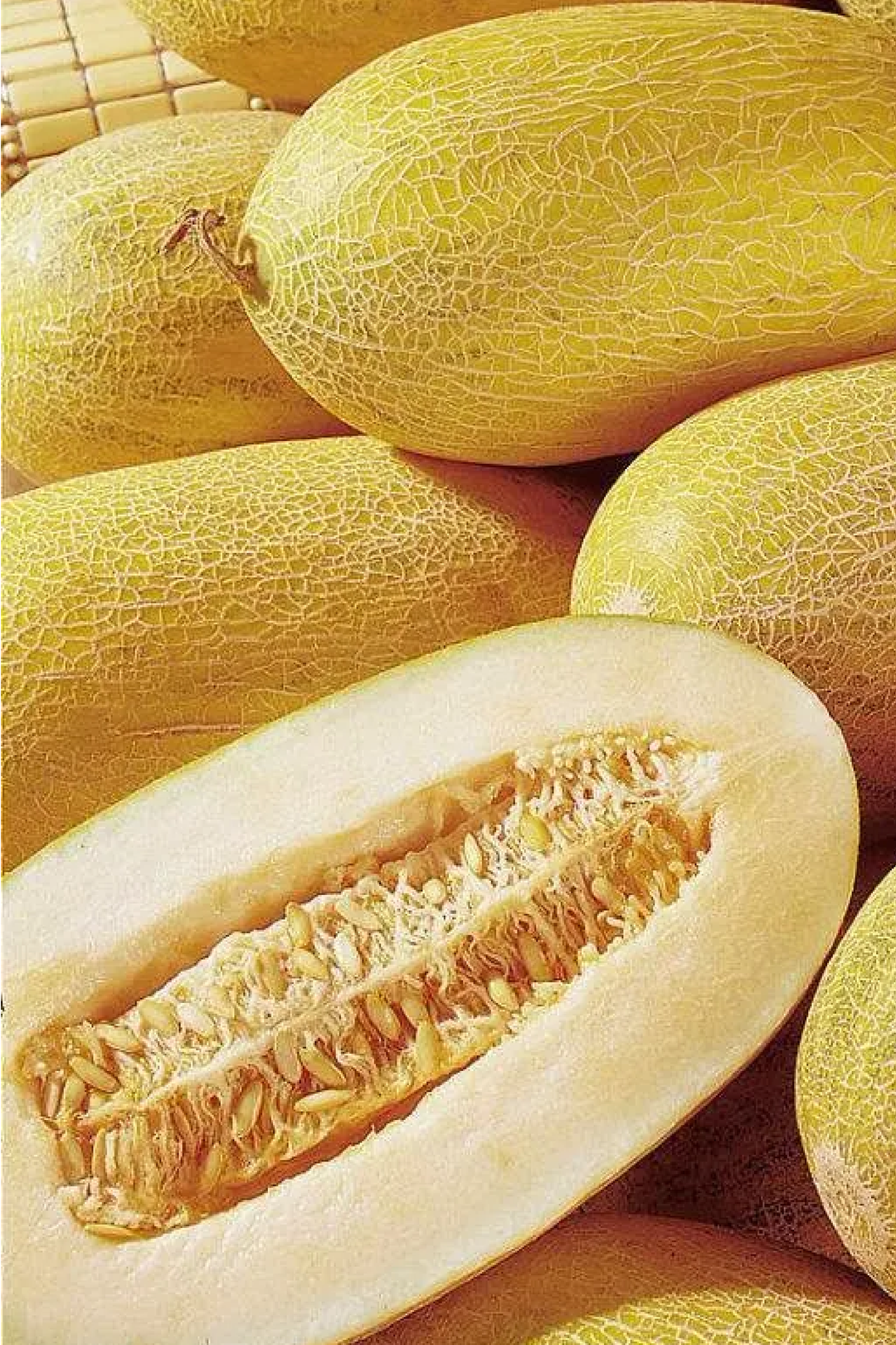 GULABI MELON SEEDS <Br> بذور الشمام الجلابي