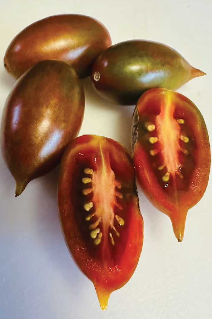 ORGANIC EMALIA TOMATO SEEDLING <br>شتلات طماطم إيماليا العضوية