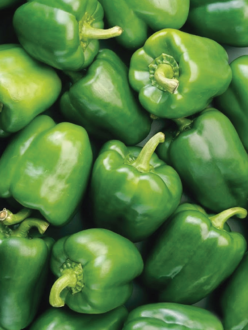 GREEN CAPSICUM SEEDS