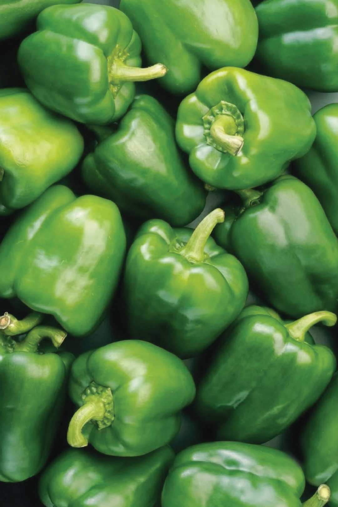 GREEN CAPSICUM SEEDS