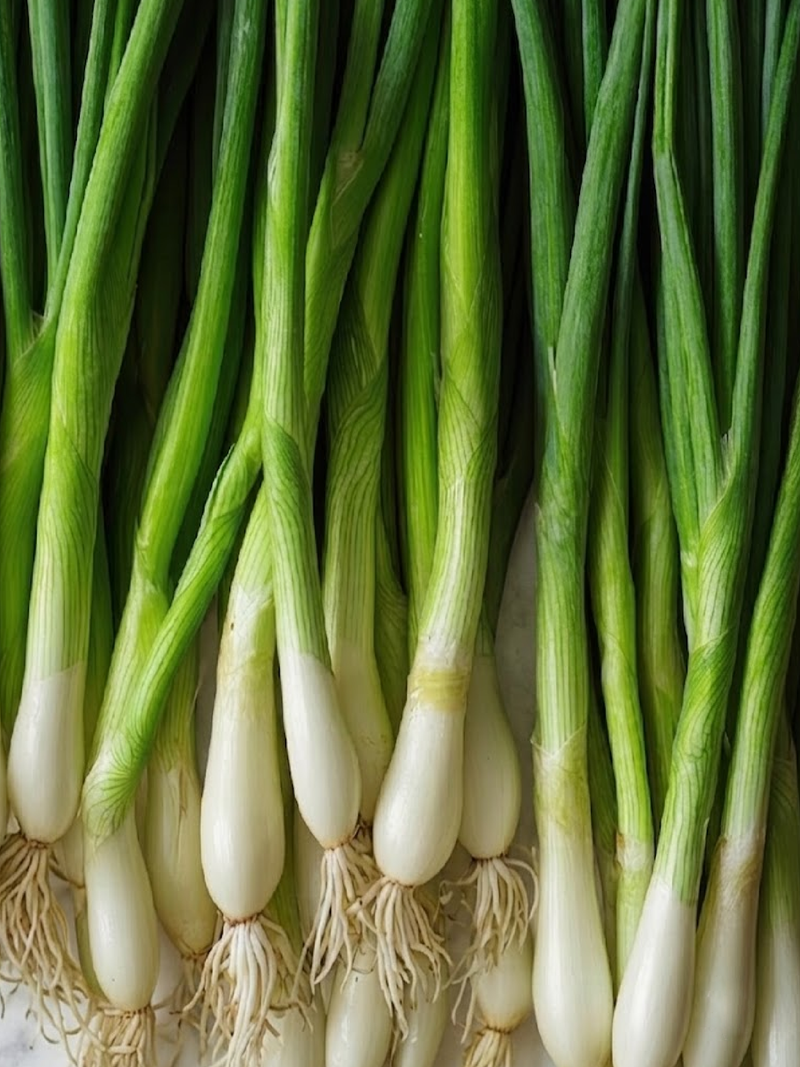 SCALLION SEEDS