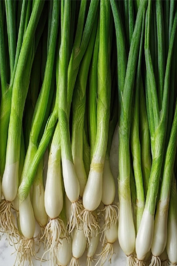 SCALLION SEEDS