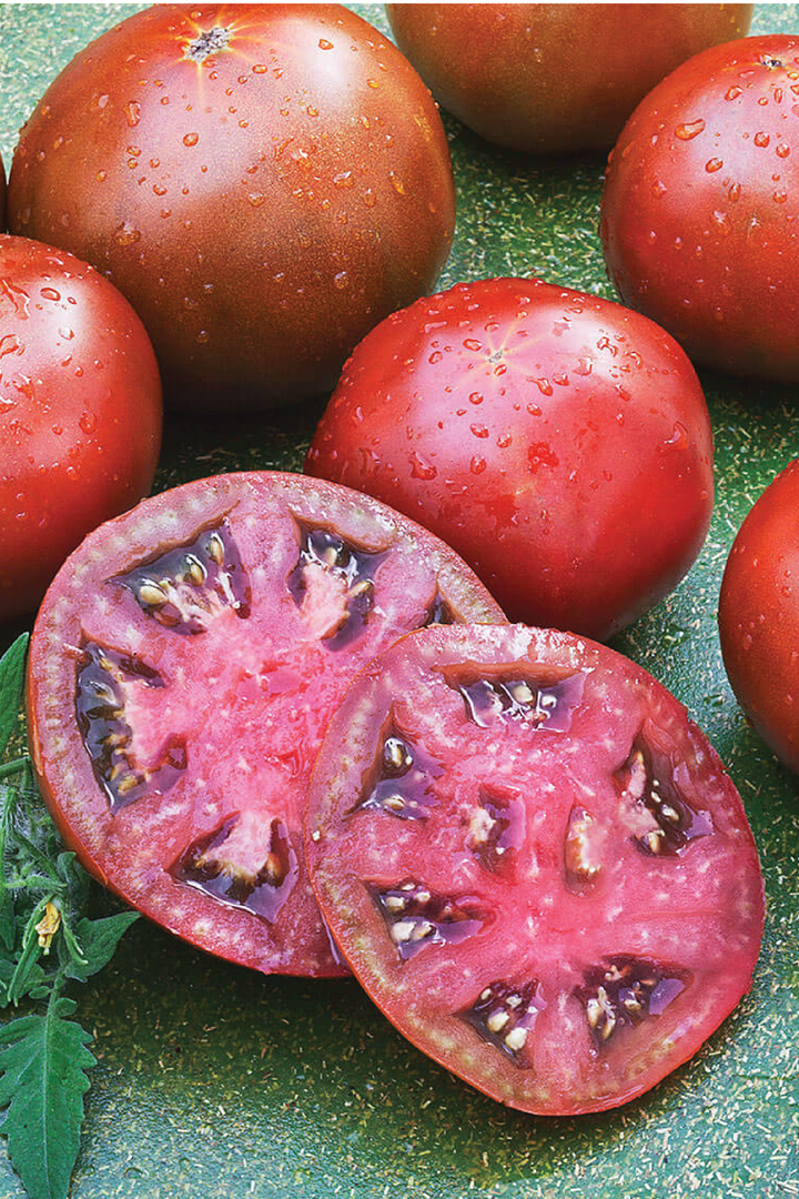 ORGANIC BROWN SUGAR TOMATO SEEDLING <br> شتلات الطماطم العضوية براون شوقر