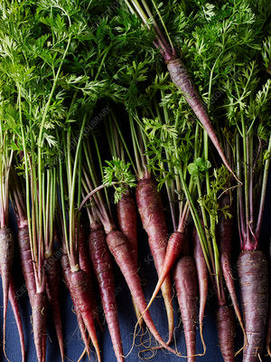 ORGANIC PURPLE CARROTS SEEDLING<br>شتلات الجزر البنفسجي العضوية