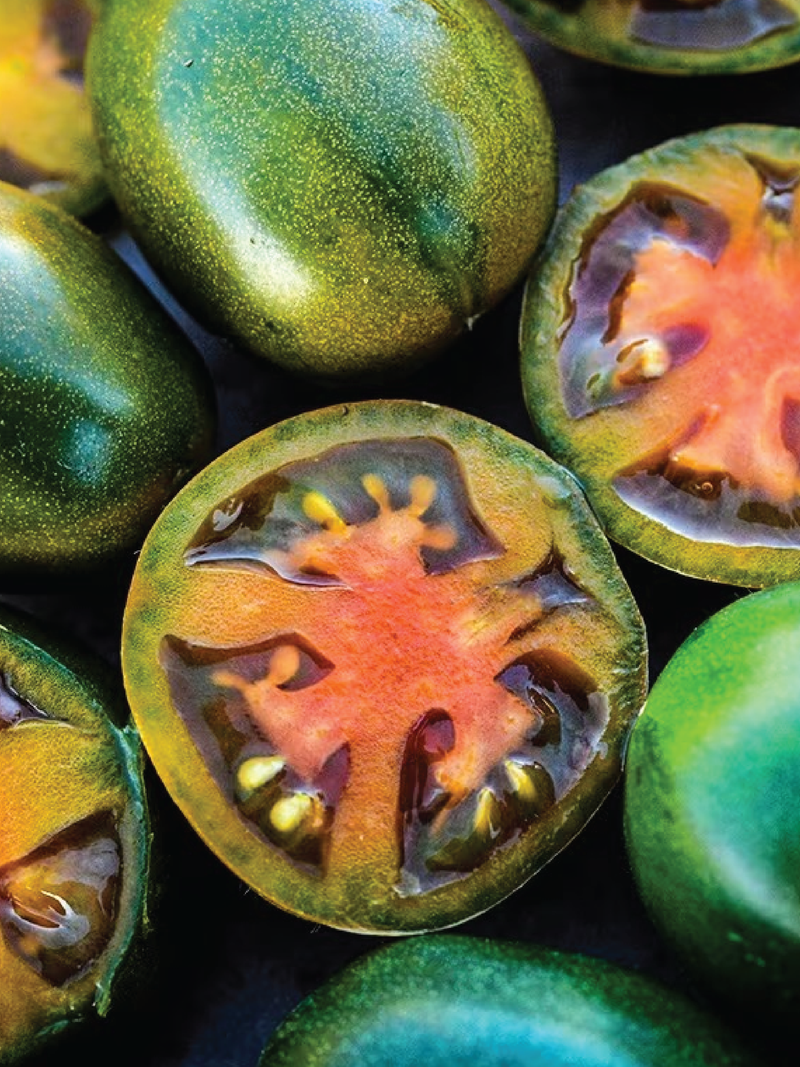 ORGANIC EVIL OLIVE TOMATO SEEDLING <br> شتلات طماطم إيفل أوليف العضوية