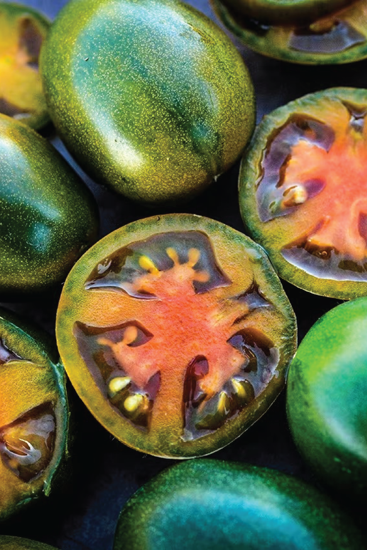 ORGANIC EVIL OLIVE TOMATO SEEDLING <br> شتلات طماطم إيفل أوليف العضوية